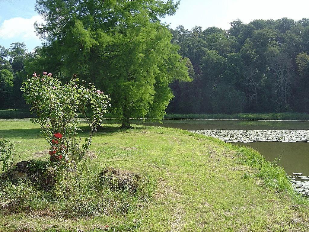 Chateau De Cheronne Bed & Breakfast Tuffe ภายนอก รูปภาพ