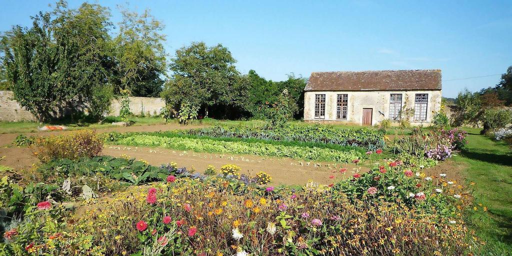 Chateau De Cheronne Bed & Breakfast Tuffe ภายนอก รูปภาพ
