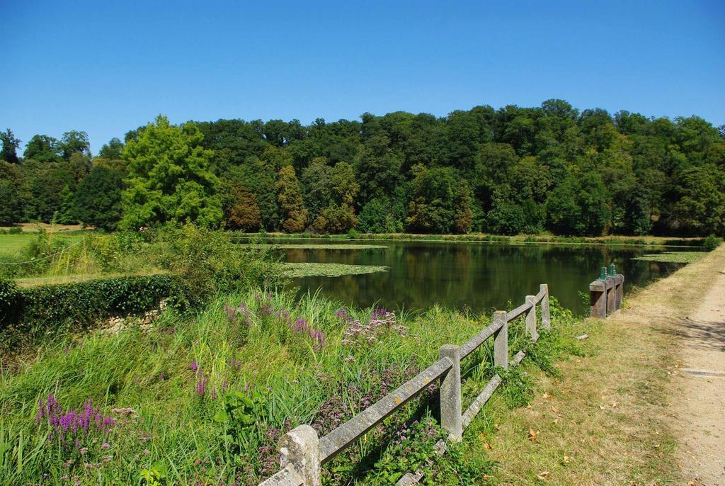 Chateau De Cheronne Bed & Breakfast Tuffe ภายนอก รูปภาพ